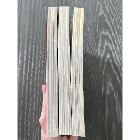 The Sacred Blacksmith Volume 2 5 6 English Manga Isao Miura - Picture 11 of 16